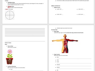 KS2 Year 3 Workbook (Tutoring or class resource)