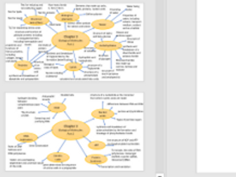 Mindmap for chapter 3 Biological Molecules biology OCR A level