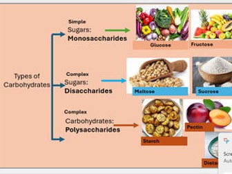 Year 10 Lesson Carbohydrates - split in two lessons - videos and resources