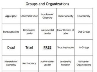 "Groups and Organizations" Bingo Set for a Sociology Course