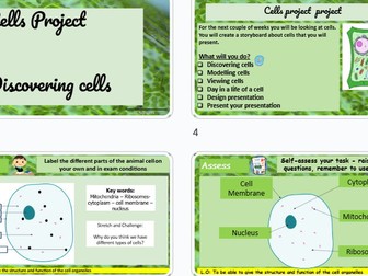 Life of a cell KS3 project (7 lessons)