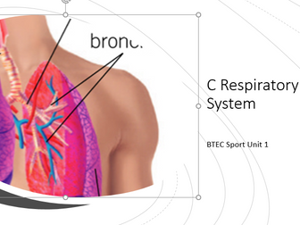 Btec Sport Level 3 unit 1C Respiratory system