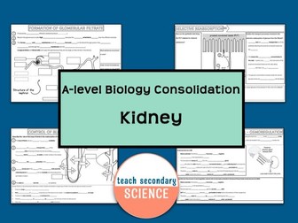 Kidney Homeostasis A-level Biology Summary Worksheets