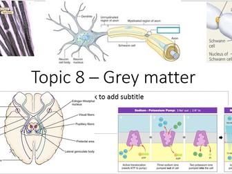 NEW spec Edexcel Topic 8 - Grey matter