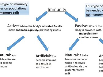 Vaccines: Lesson 4 Immunity