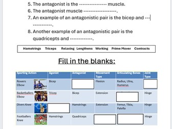 Antagonistic Muscle Pairs