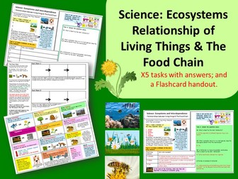 Biology Cover Worksheet/ Cover work - Ecosystems - Relationships & The Food Chain