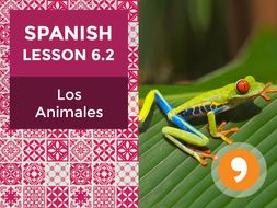 Spanish Lesson 6.2: Los Animales - Animals
