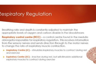 Respiratory Regulation Lesson - A-level