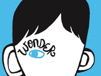 Wonder - Scheme of Work and Assessments