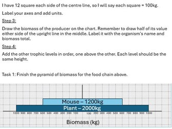 Biomass pyramids scaffolded worksheet