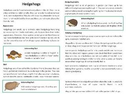 Non chronological report about cats image