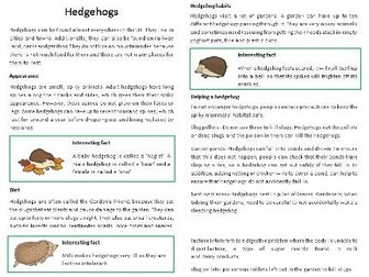 Non-Chronological report (Hedgehog example) and features checklist
