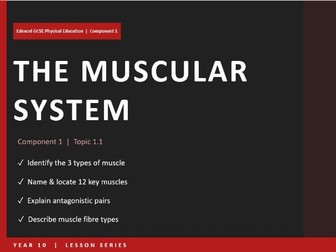 Muscular System | Edexcel GCSE PE | Teacher PPT – Click-Reveal Slides