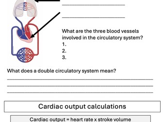 Circulatory system & Cardiac Output