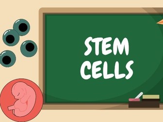 GCSE Biology Questions on stem stems