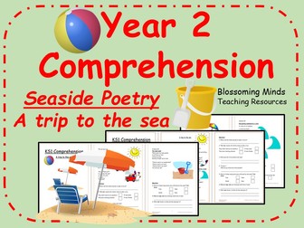 Year 2 Seaside Poetry Comprehension - A trip to the sea