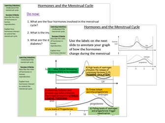Hormones and the Menstrual Cycle