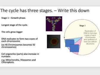 Cell divison - AQA 9-1 Combined Science
