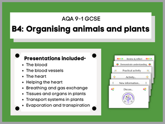 B4 Organising animals and plants