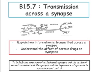 Structure and function of synapses and transmission across synapse