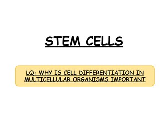 **iGCSE Biology Edexcel - STEM CELLS**