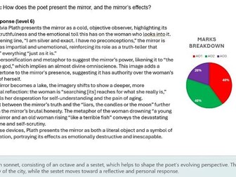 Unseen Poetry - Mirror by Sylvia Plath