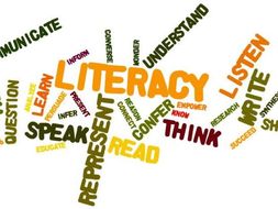 Literacy Worksheets and Homework Packs