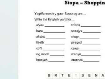 Siopa - Shopping in Cymraeg Wordsearch