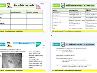 Evolution revision GCSE Combined Science AQA