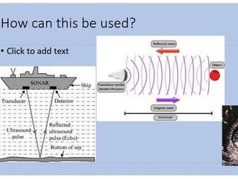 ultrasound and echolocation