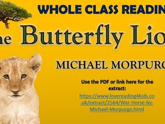 The Butterfly Lion - Whole Class Reading Session!