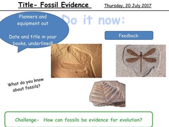 AQA Trilogy Biology Unit 7 Lesson 4 Fossil Evidence