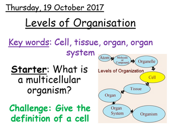Levels of Organisation - Year 7