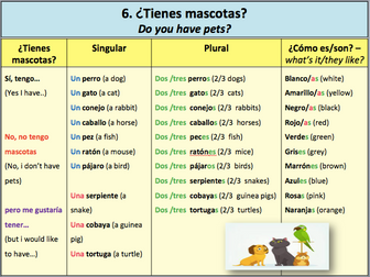 Spanish Personality Pets Family sentence builders