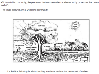 Carbon cycle, ecosystem scaffolded 6 mark scientific literacy question easy deep mark