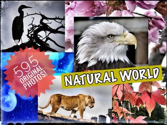 Photographs of the Natural World. 595 Original, Copiable Photographs