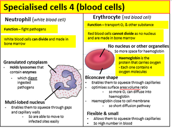 Applied science unit 1 biology revision cards