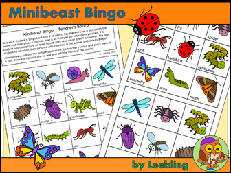 Minibeast bingo - Insect and Bug Bingo