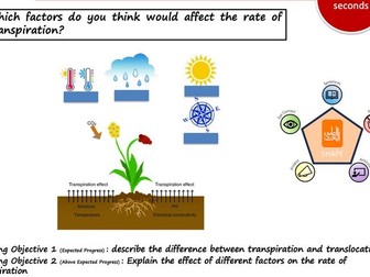 Transpiration and translocation