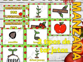 SPANISH Apple Life Cycle Ciclo Vida de la Manzana Español Flip Book Included