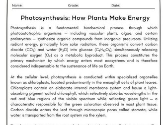 Photosynthesis Reading Comprehension Passage With Questions & Answer Key