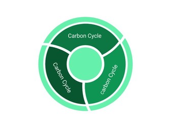 Carbon Sequestration  A Level Geography Edexcel