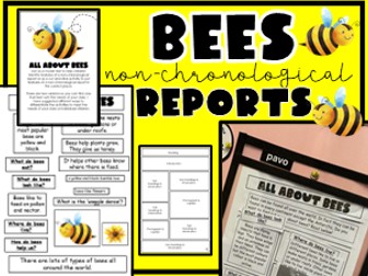 Bees Non-Chronological Report Organising Text Features