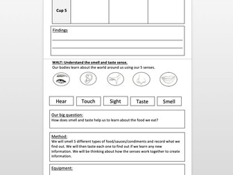 Science KS1 smell and taste senses Investigation worksheet activity