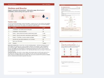 Skeleton and Muscles Year 3 Science Worksheets
