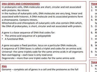 AQA A-Level Biology - DNA and Protein Synthesis revision sheet