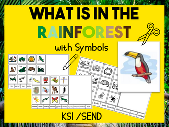 In the Rainforest Words and Symbols