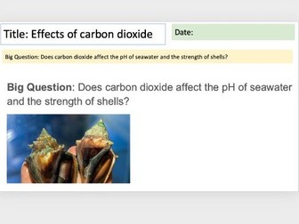 Human impact: Does carbon dioxide affect the pH of seawater and the strength of shells?