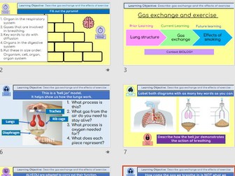 KS3 Science – Complete PowerPoint lesson on Gas Exchange and Exercise